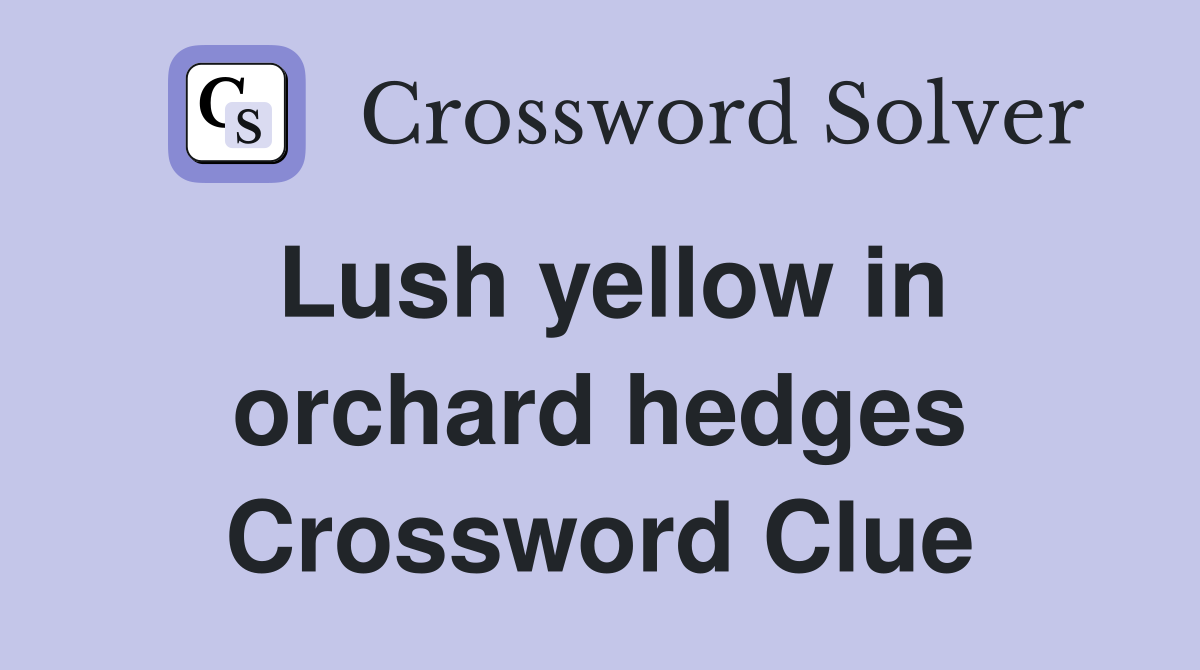 Lush yellow in orchard hedges Crossword Clue