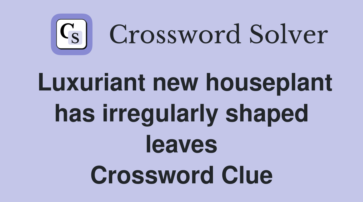 Luxuriant new houseplant has irregularly shaped leaves Crossword Clue