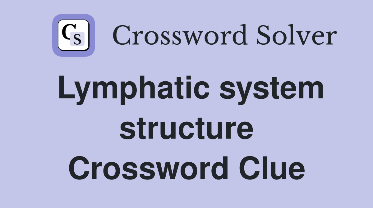Lymphatic system structure Crossword Clue