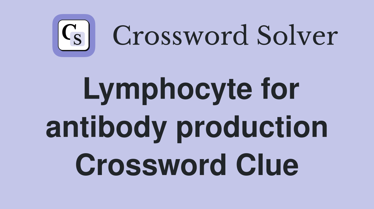 Lymphocyte for antibody production Crossword Clue