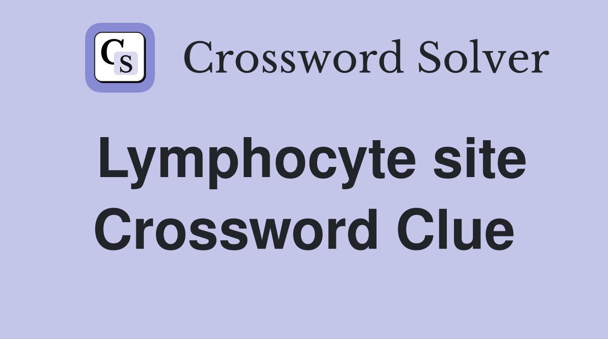 Lymphocyte site Crossword Clue