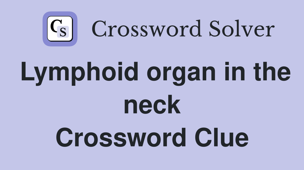 Lymphoid organ in the neck Crossword Clue