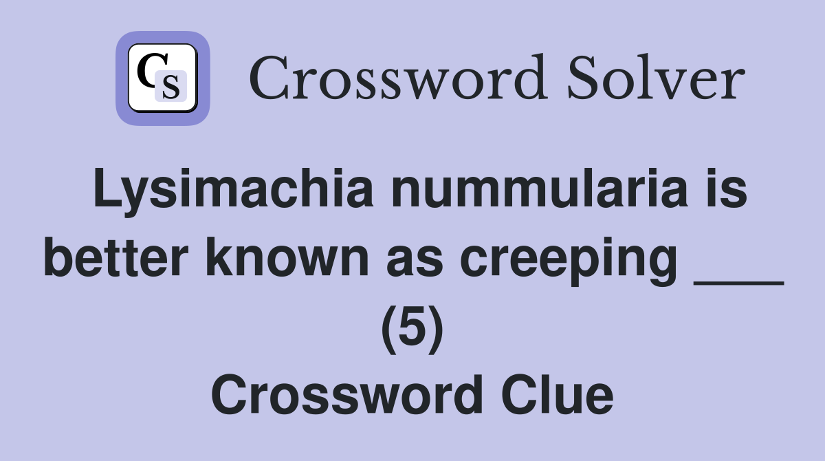 Lysimachia nummularia is better known as creeping ___ (5) Crossword Clue