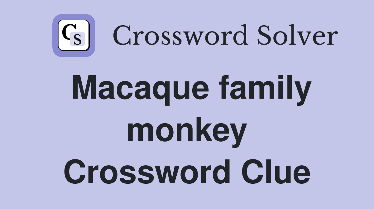Macaque family monkey Crossword Clue