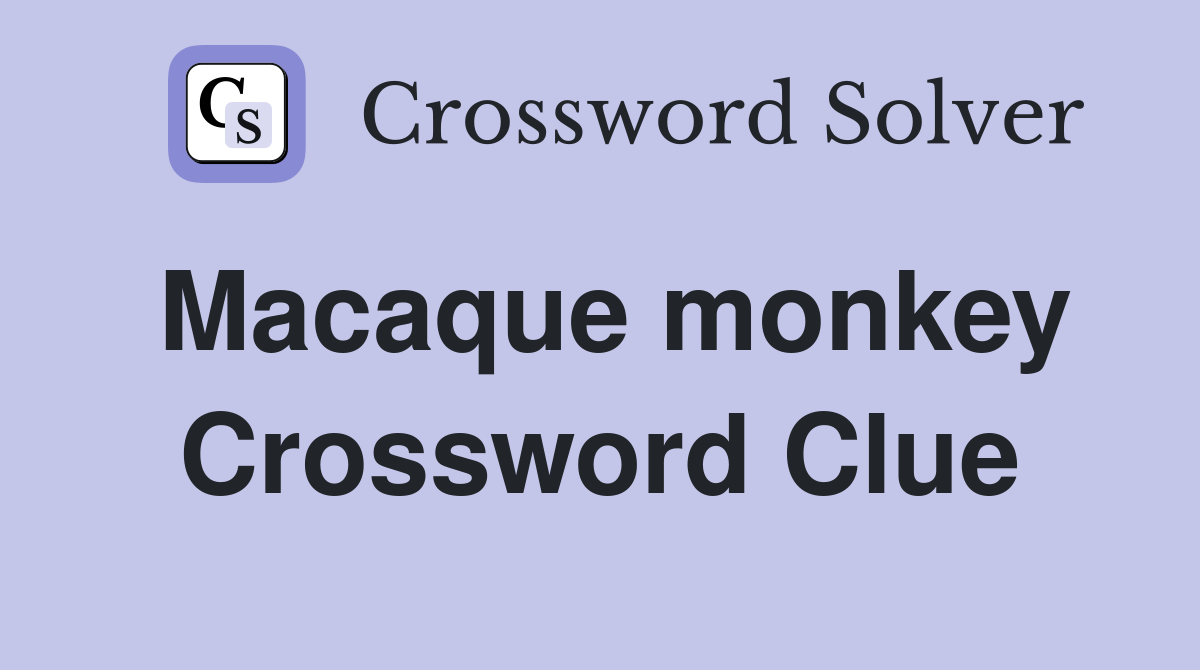 Macaque monkey Crossword Clue