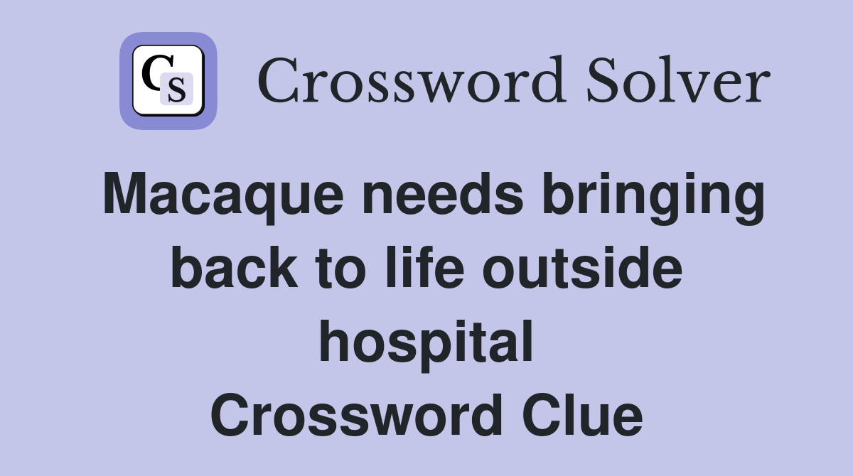 Macaque needs bringing back to life outside hospital Crossword Clue