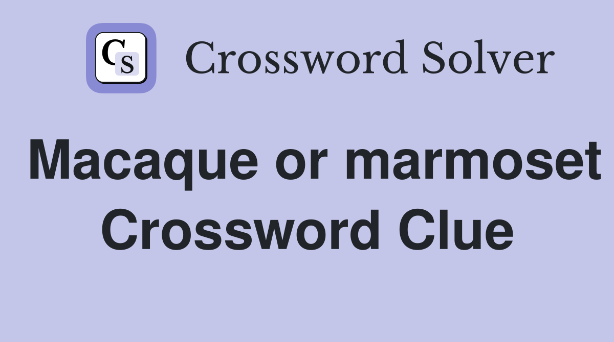 Macaque or marmoset Crossword Clue