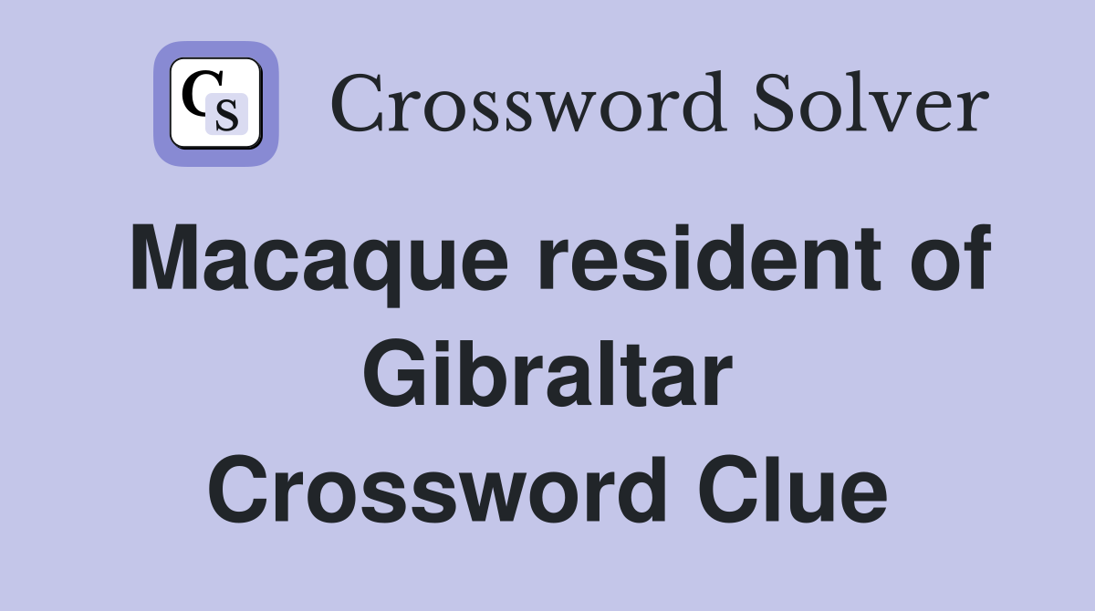 Macaque resident of Gibraltar Crossword Clue