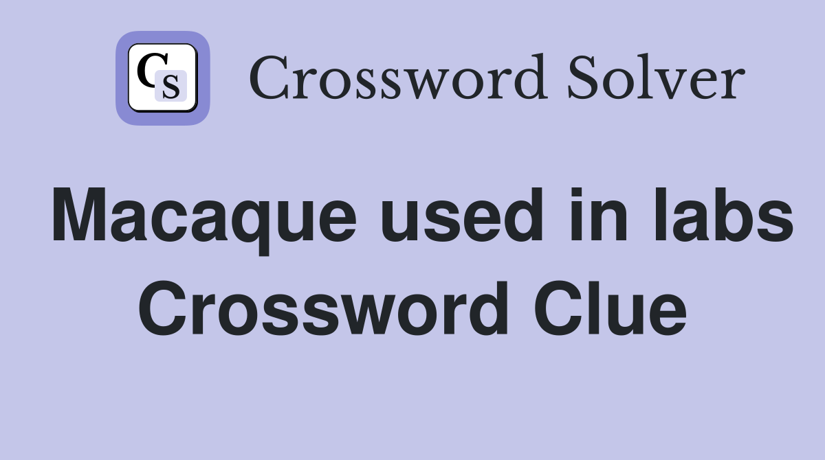 Macaque used in labs Crossword Clue