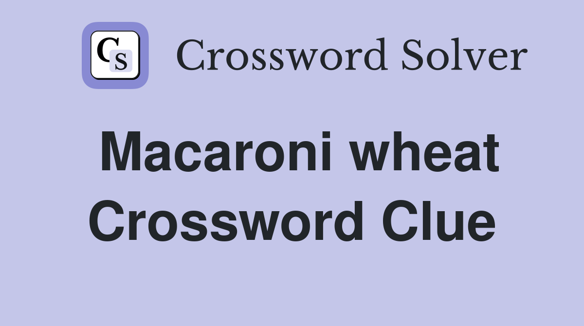 Macaroni wheat Crossword Clue