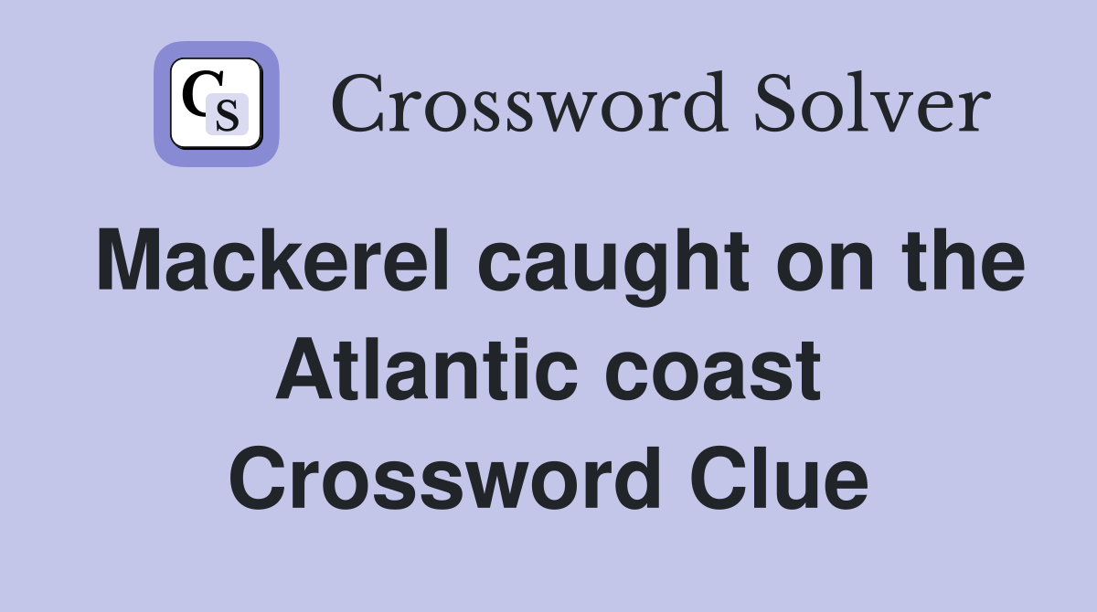 Mackerel caught on the Atlantic coast Crossword Clue
