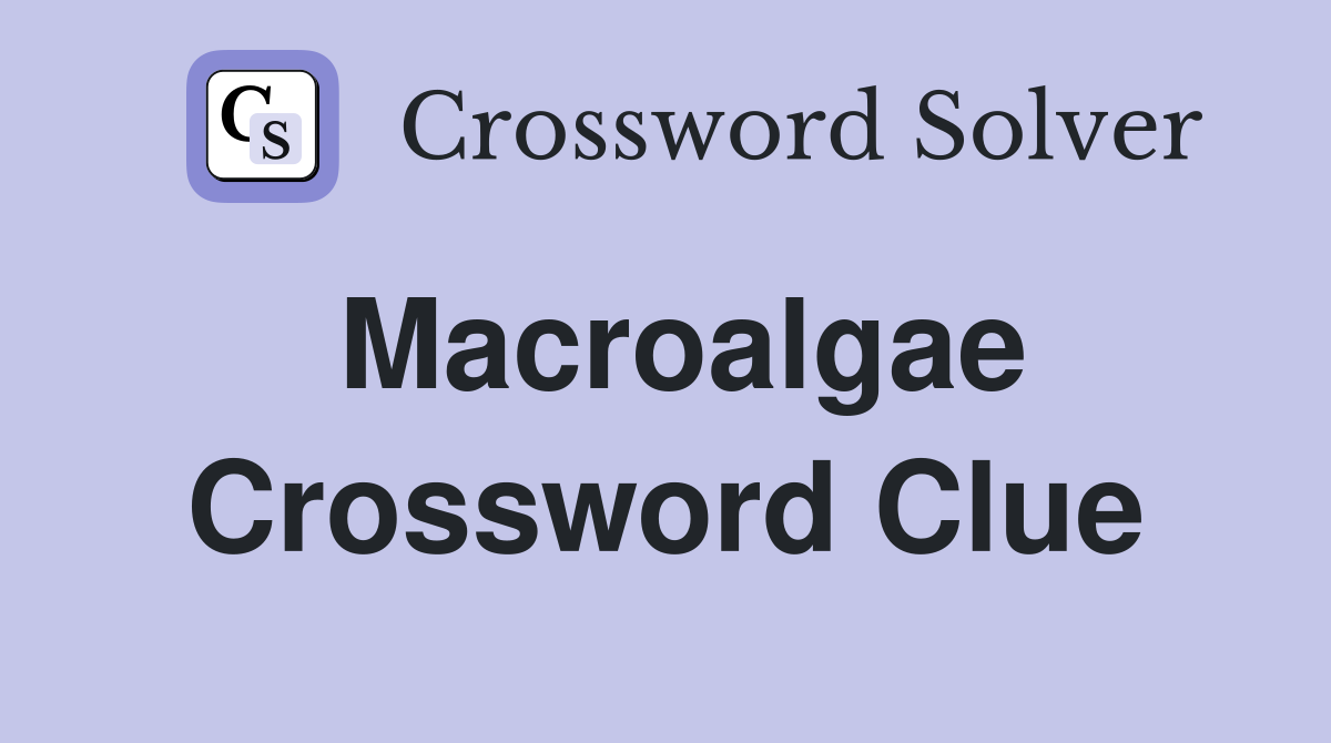 Macroalgae Crossword Clue