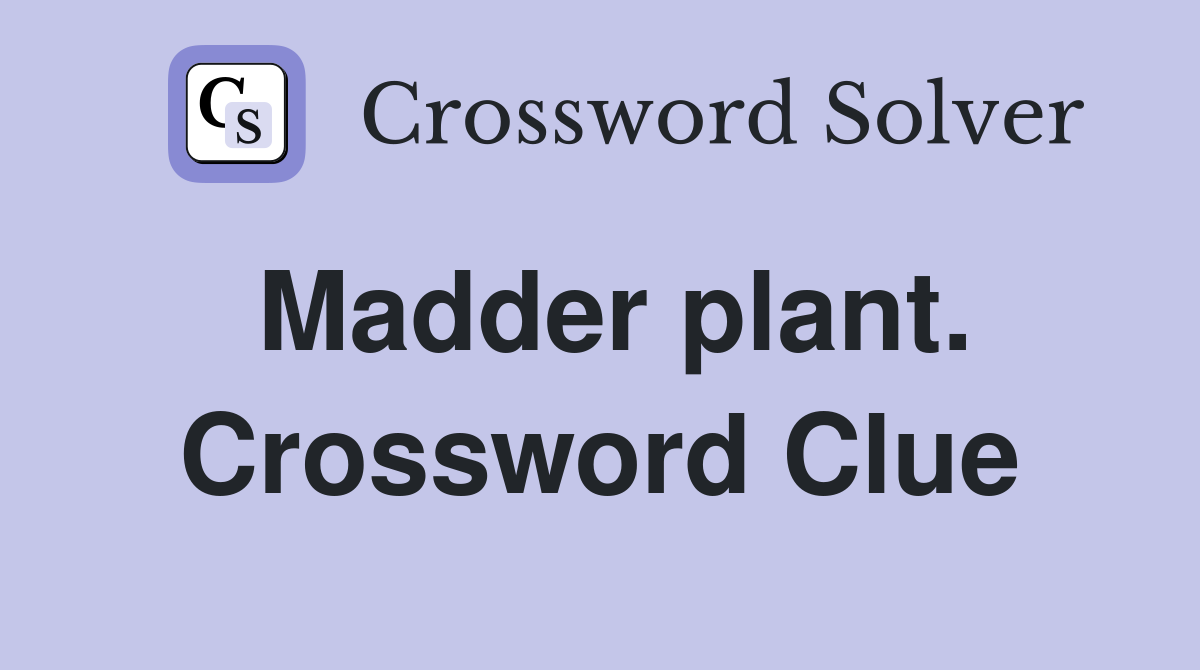 Madder plant. Crossword Clue