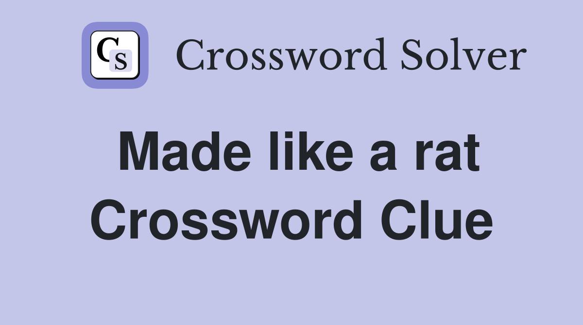 Made like a rat Crossword Clue