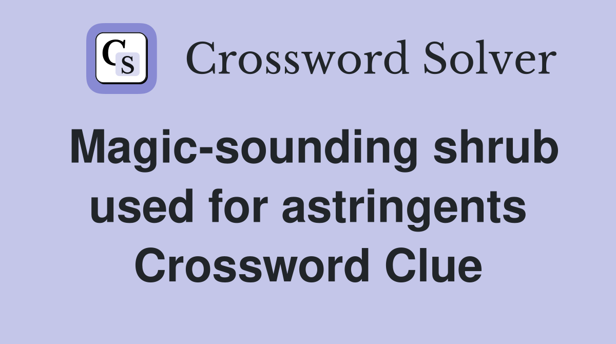 Magic-sounding shrub used for astringents Crossword Clue