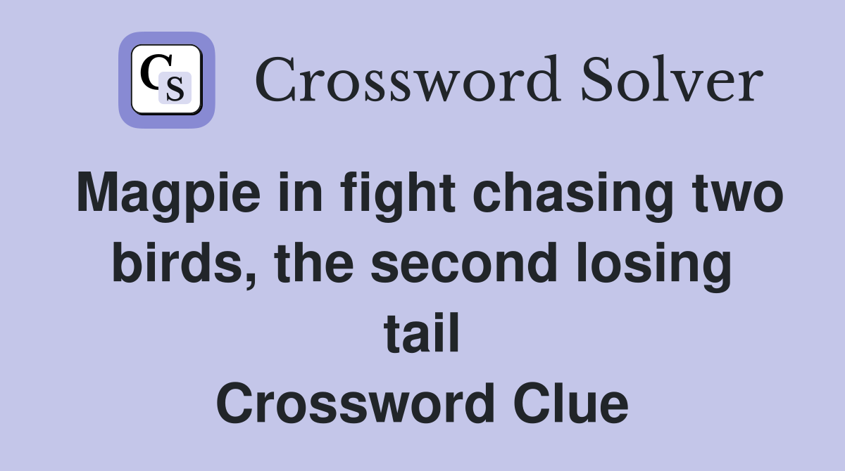 Magpie in fight chasing two birds, the second losing tail Crossword Clue