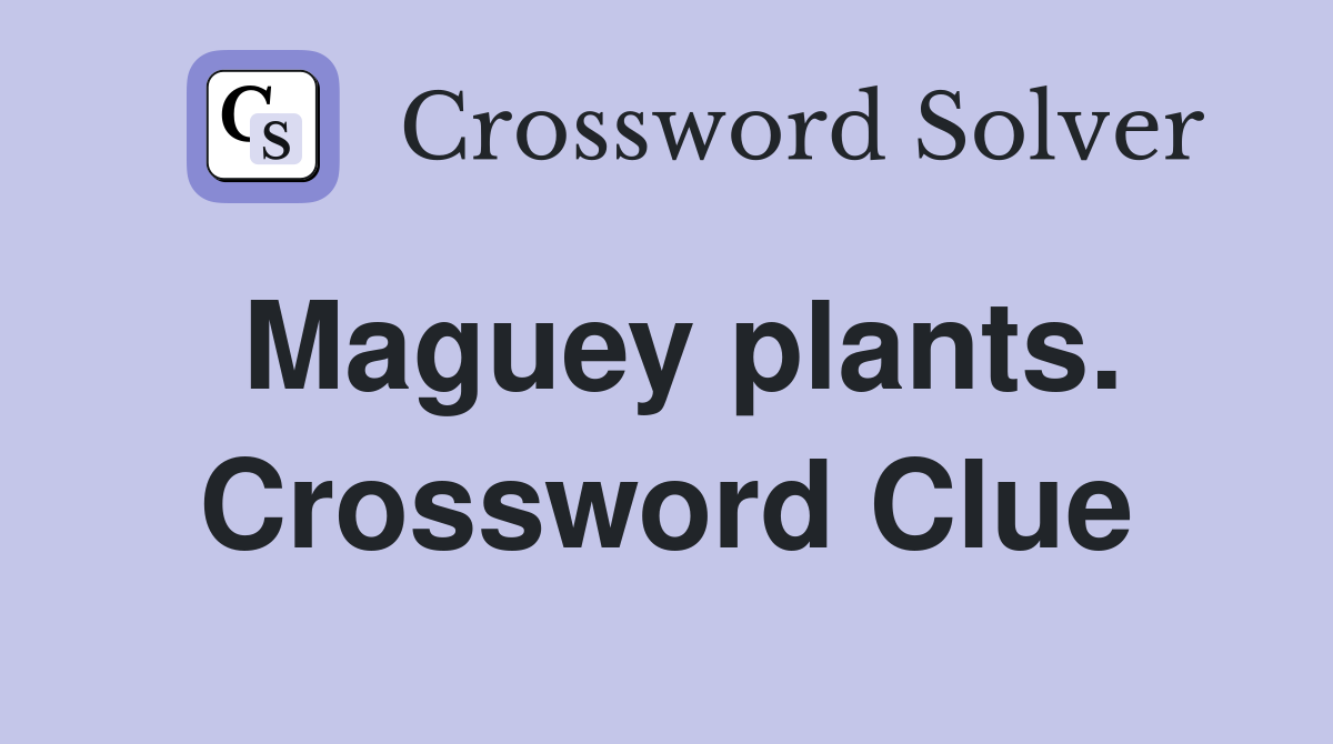 Maguey plants. Crossword Clue