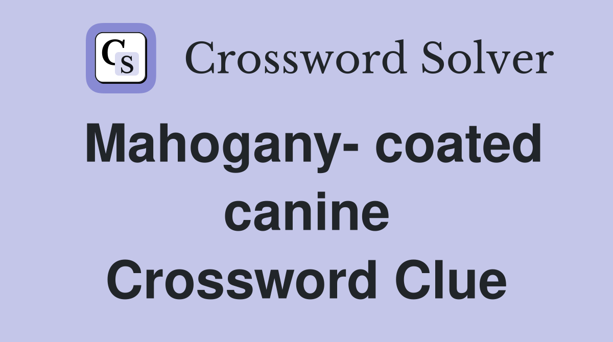 Mahogany- coated canine Crossword Clue