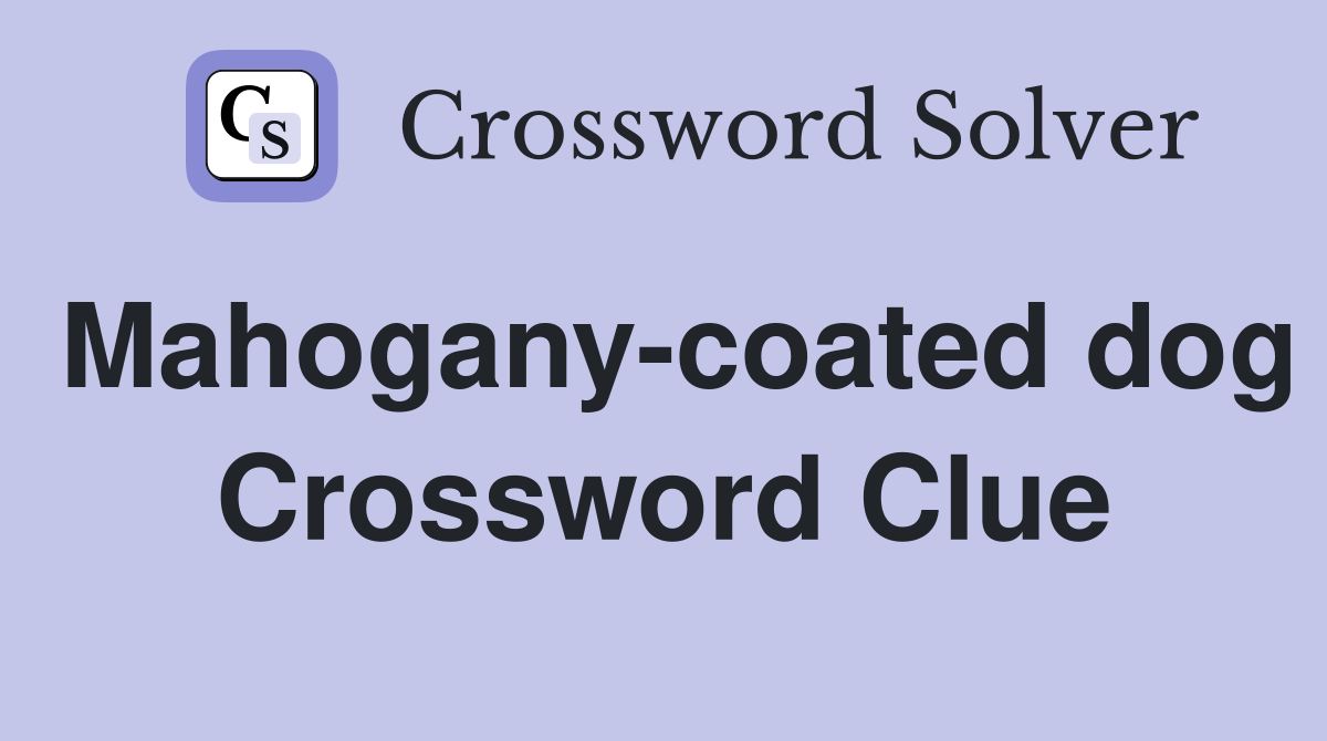 Mahogany-coated dog Crossword Clue