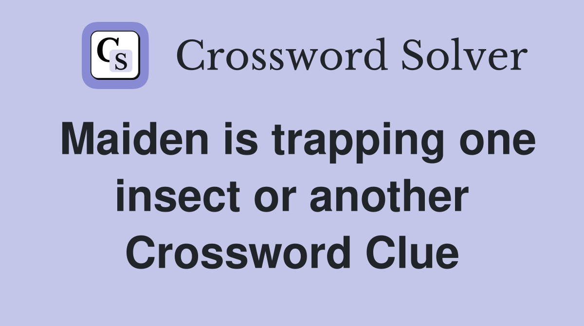 Maiden is trapping one insect or another Crossword Clue