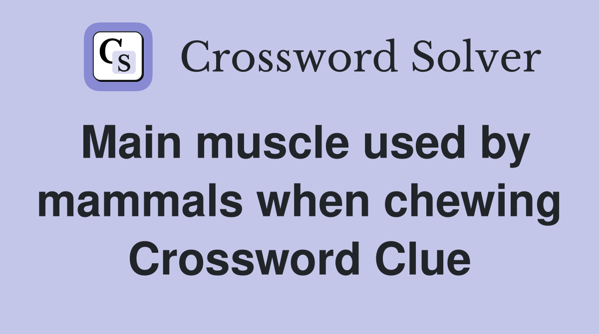 Main muscle used by mammals when chewing Crossword Clue