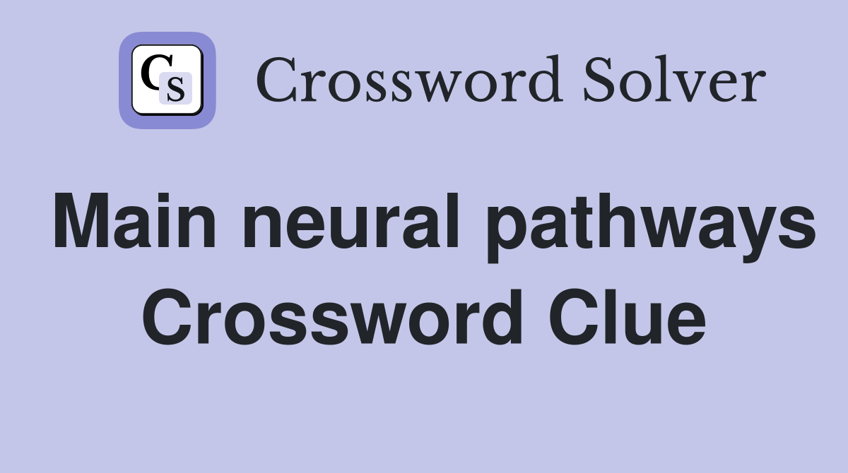 Main neural pathways Crossword Clue