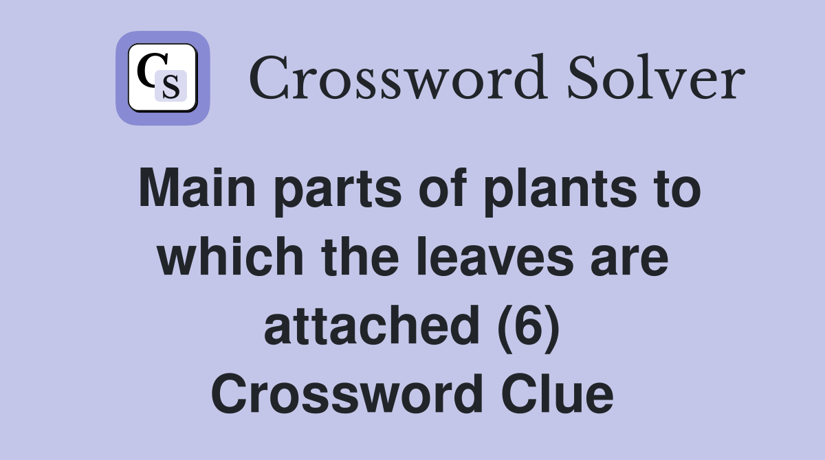Main parts of plants to which the leaves are attached (6) Crossword Clue