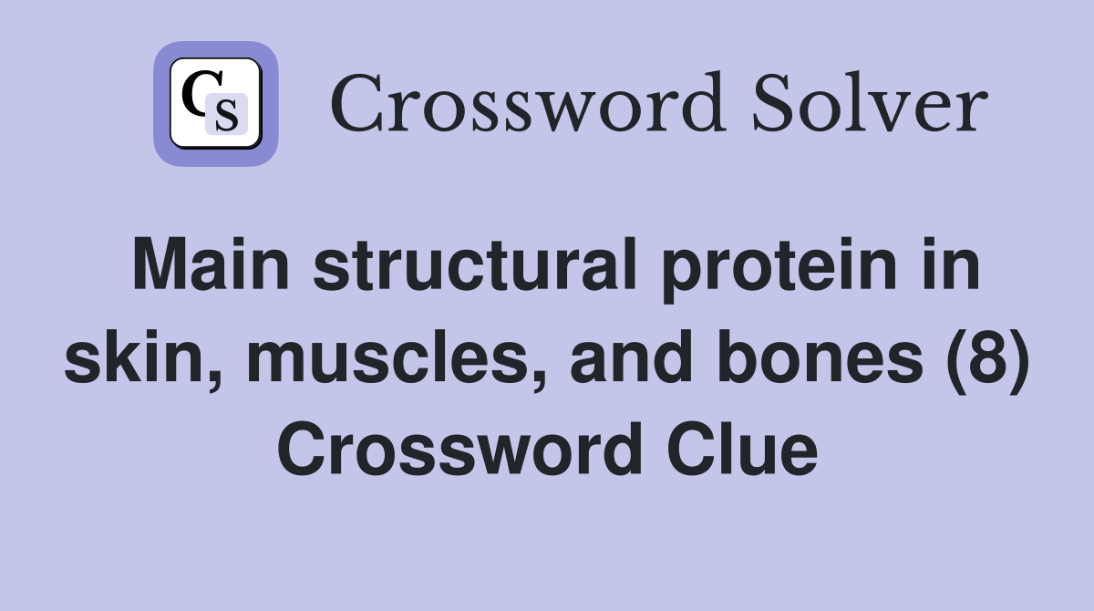 Main structural protein in skin, muscles, and bones (8) Crossword Clue