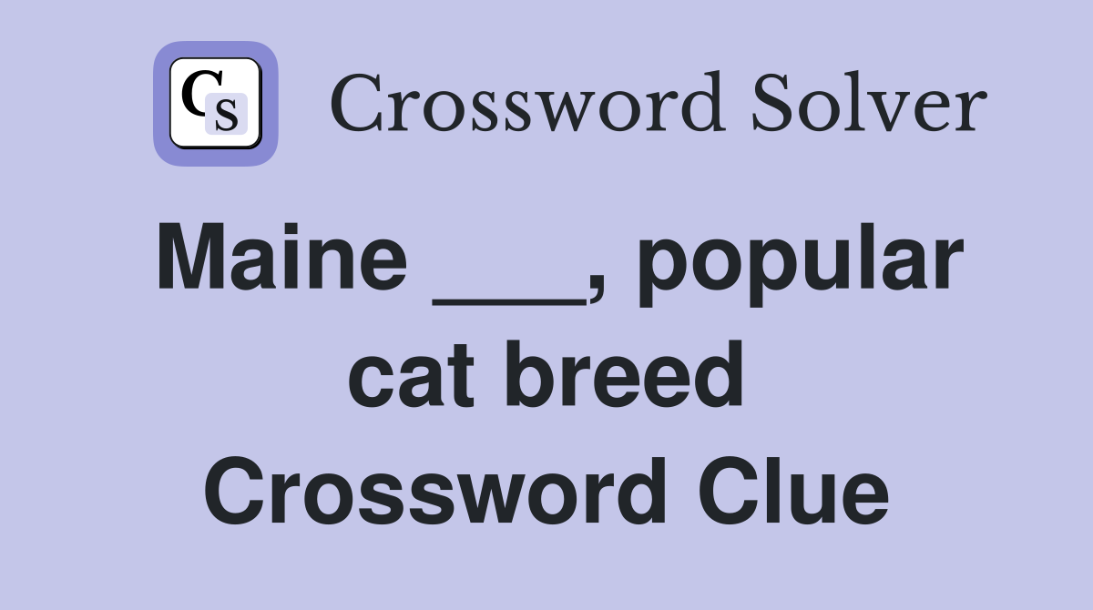 Maine ___, popular cat breed Crossword Clue