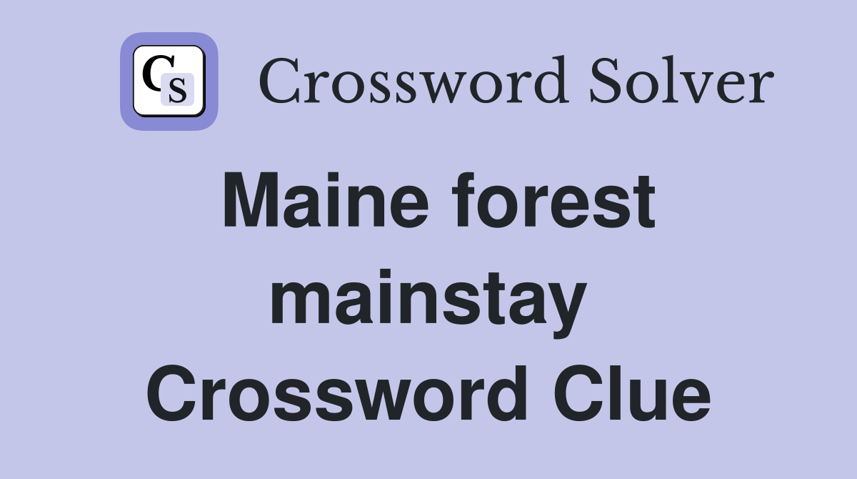 Maine forest mainstay Crossword Clue