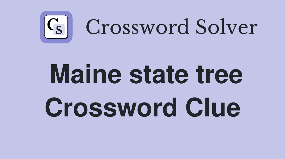 Maine state tree Crossword Clue