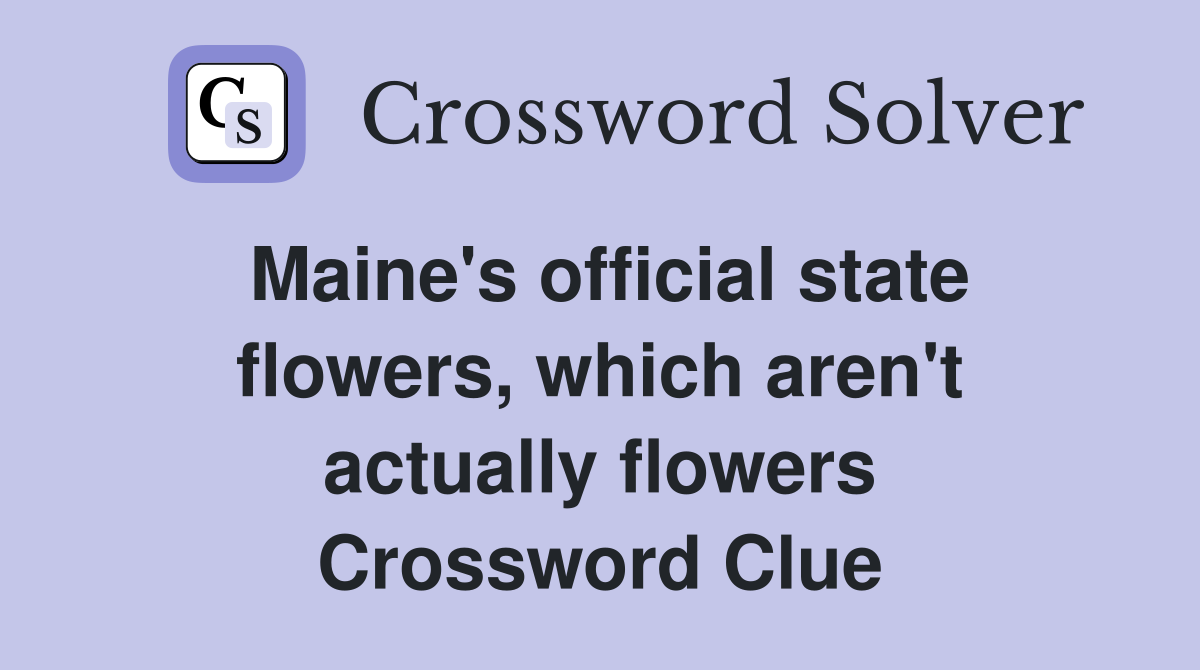 Maine's official state flowers, which aren't actually flowers Crossword Clue