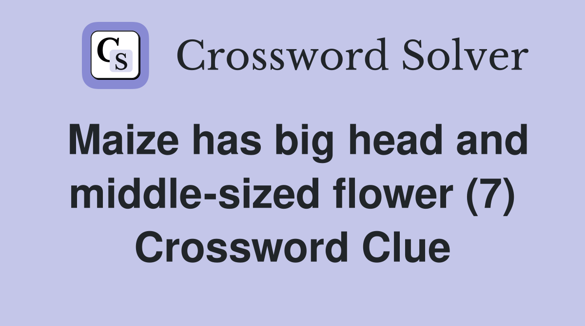 Maize has big head and middle-sized flower (7) Crossword Clue