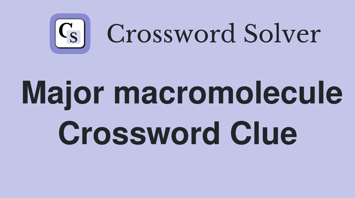 Major macromolecule Crossword Clue