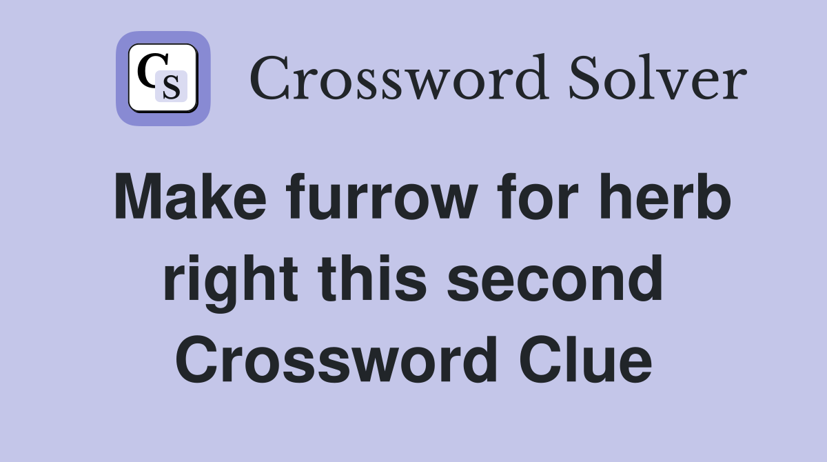 Make furrow for herb right this second Crossword Clue