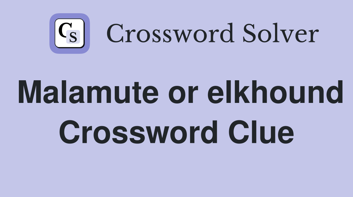 Malamute or elkhound Crossword Clue