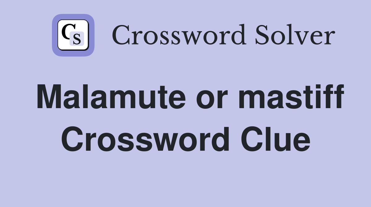 Malamute or mastiff Crossword Clue