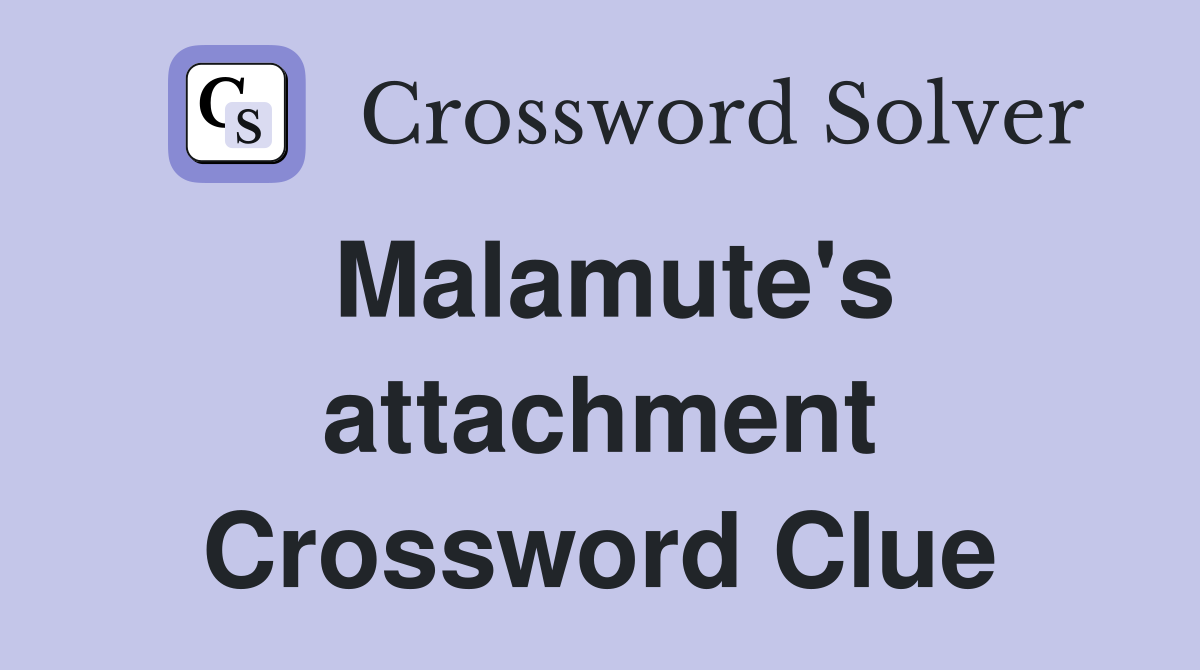 Malamute's attachment Crossword Clue