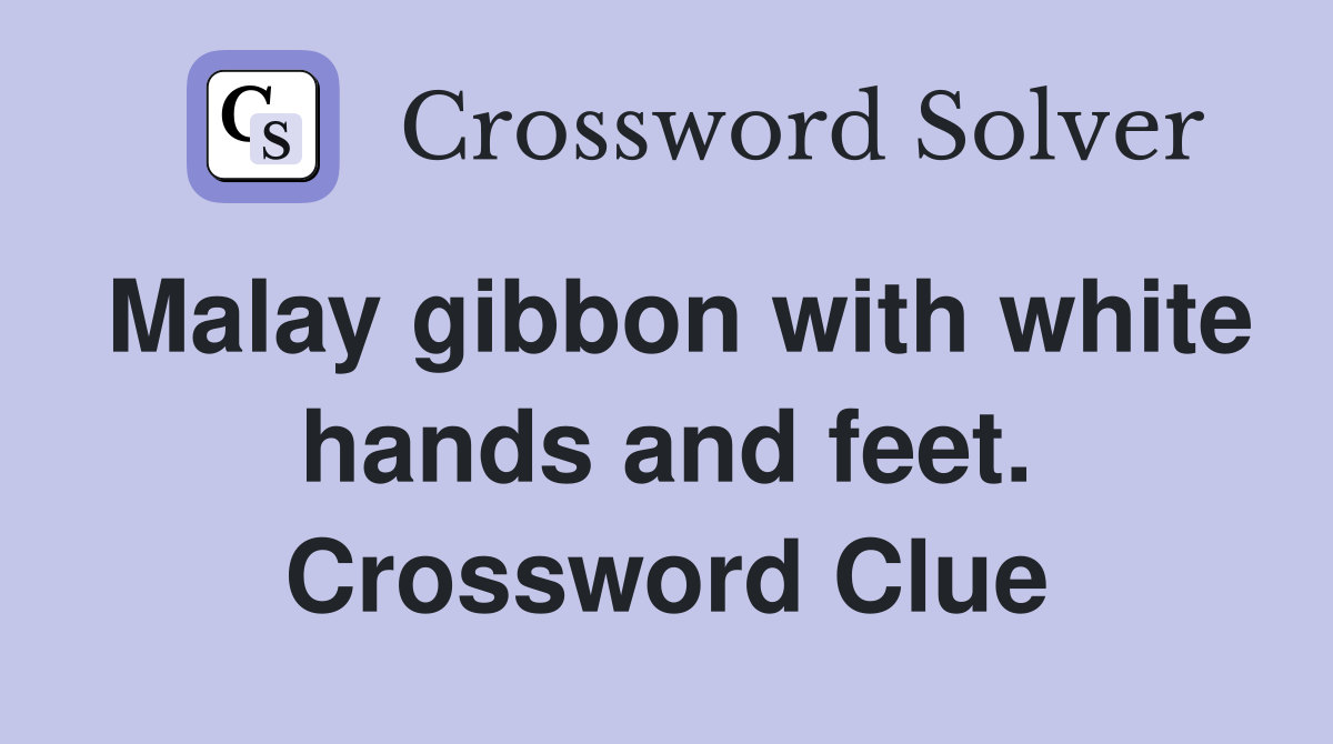 Malay gibbon with white hands and feet. Crossword Clue