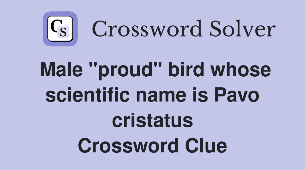 Male "proud" bird whose scientific name is Pavo cristatus Crossword Clue