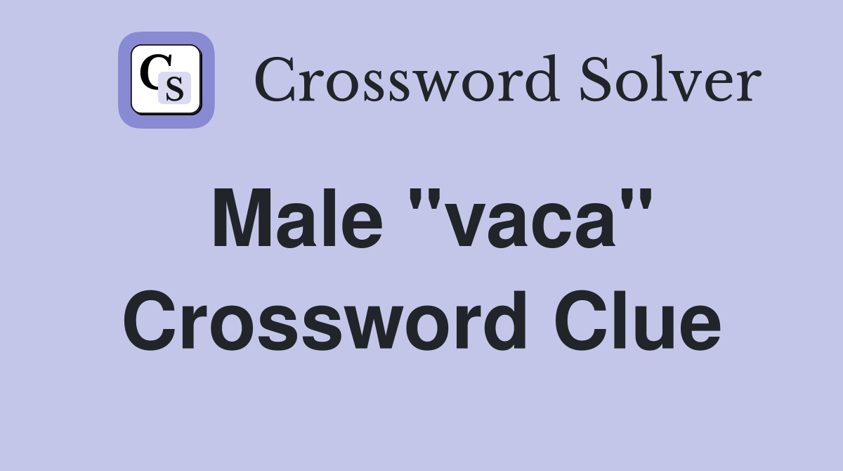 Male "vaca" Crossword Clue