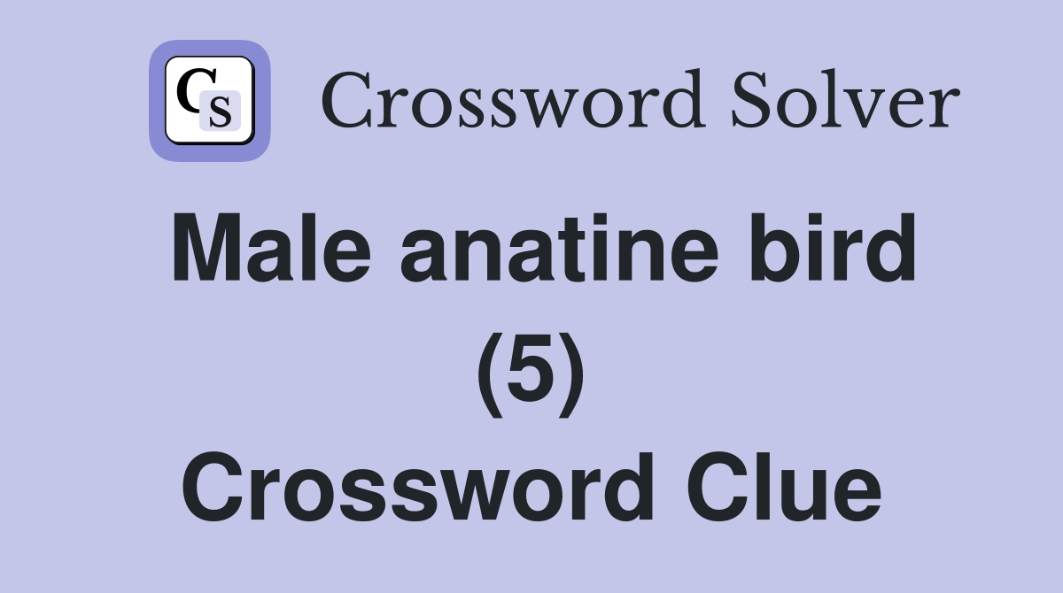 Male anatine bird (5) Crossword Clue
