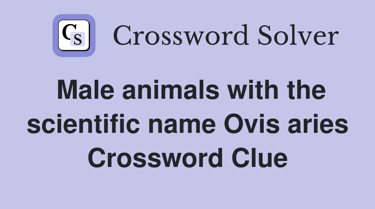 Male animals with the scientific name Ovis aries Crossword Clue