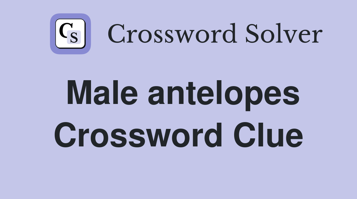 Male antelopes Crossword Clue