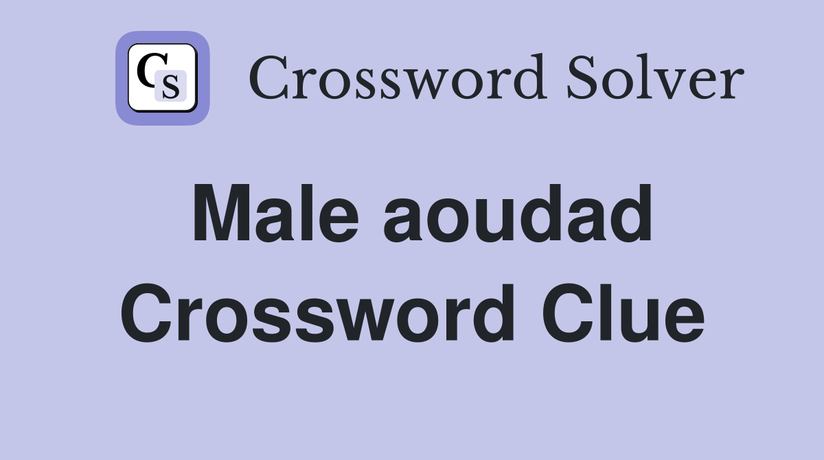 Male aoudad Crossword Clue