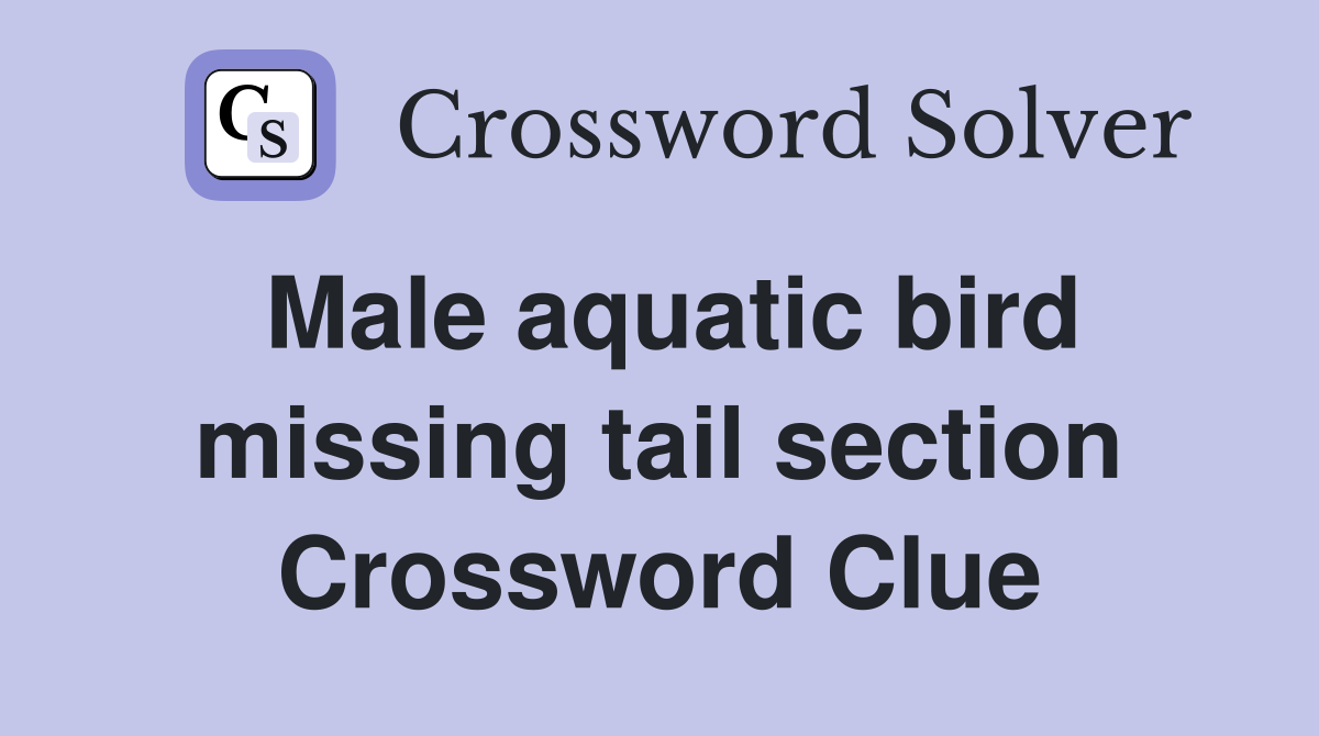 Male aquatic bird missing tail section Crossword Clue
