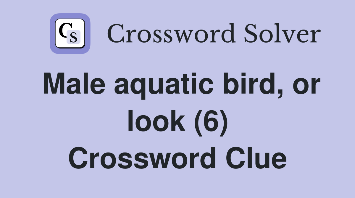 Male aquatic bird, or look (6) Crossword Clue