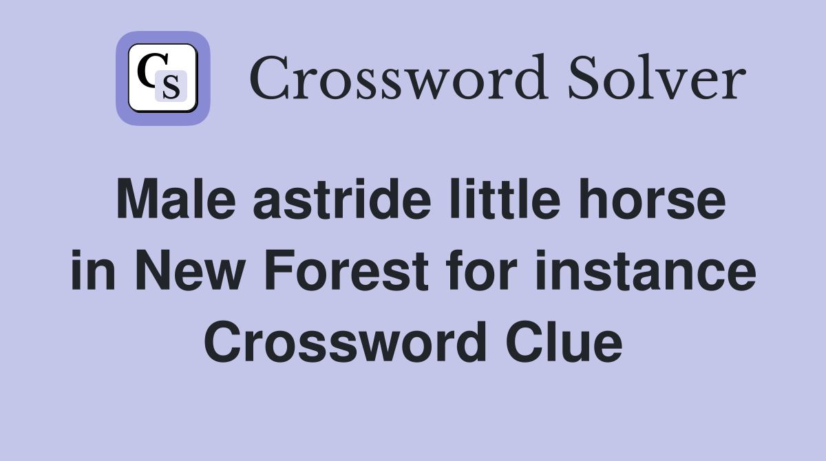 Male astride little horse in New Forest for instance Crossword Clue