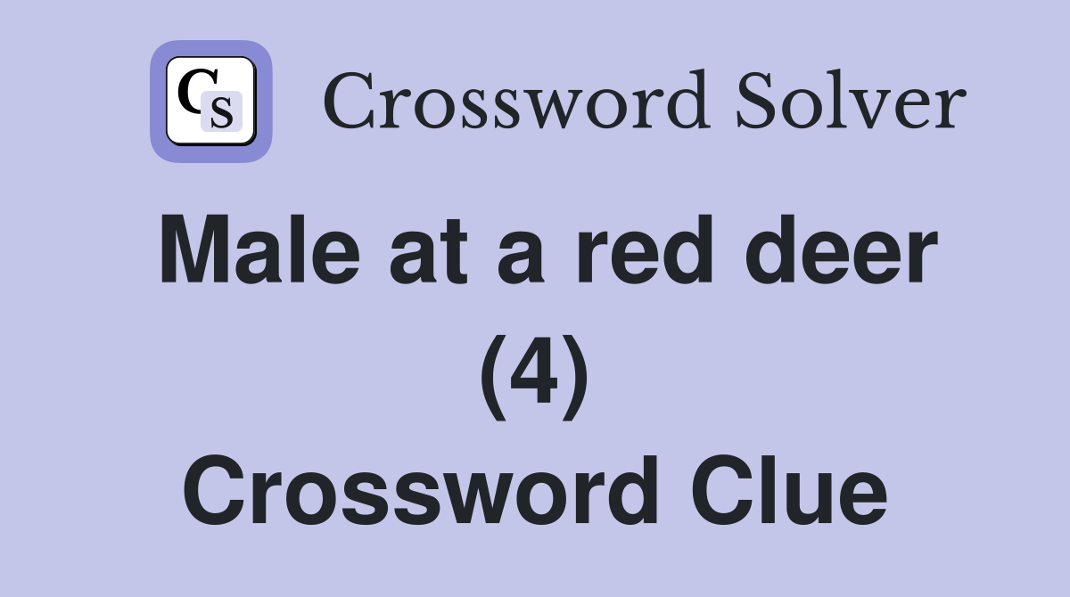 Male at a red deer (4) Crossword Clue