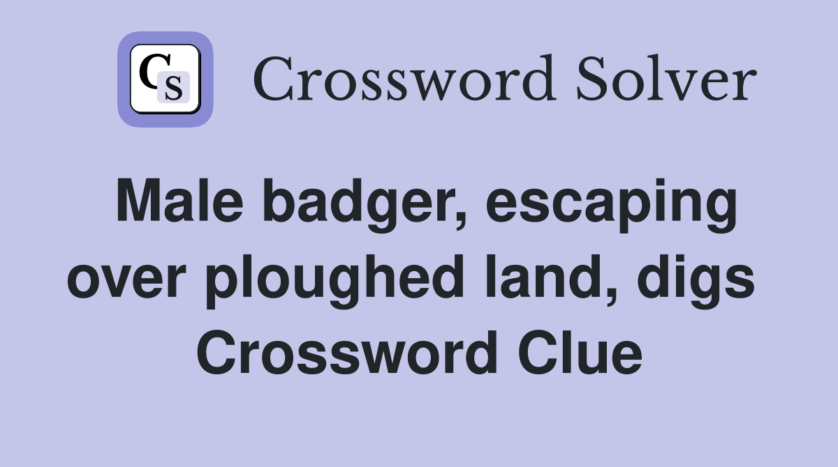 Male badger, escaping over ploughed land, digs  Crossword Clue